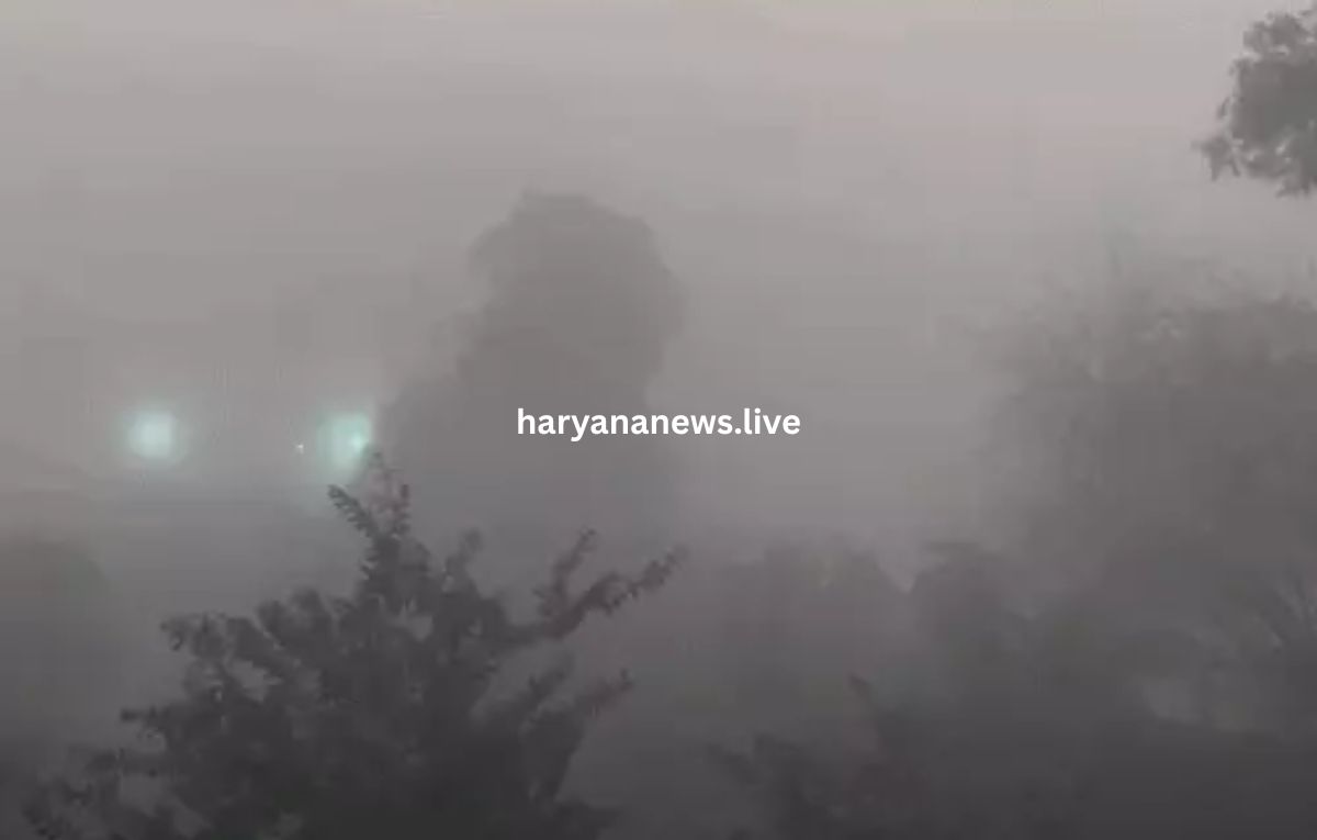 10 डिग्री तै नीचे गिरा पारा – हिसार में आज ठंड क्यूँ बढ़ी, किसानां नै कित्ता नुकसान?