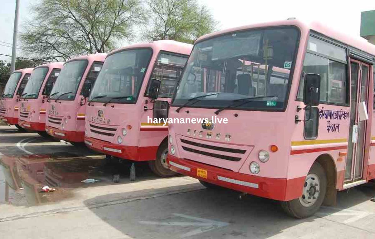 Home 7 हिसार ते जयपुर जाण का सफर हुआ एकदम सस्ता ते आसान, रोडवेज ने चलाई ‘पिंक सिटी एक्सप्रेस’!
